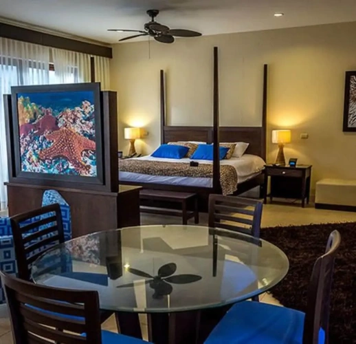 Premium Suite with view