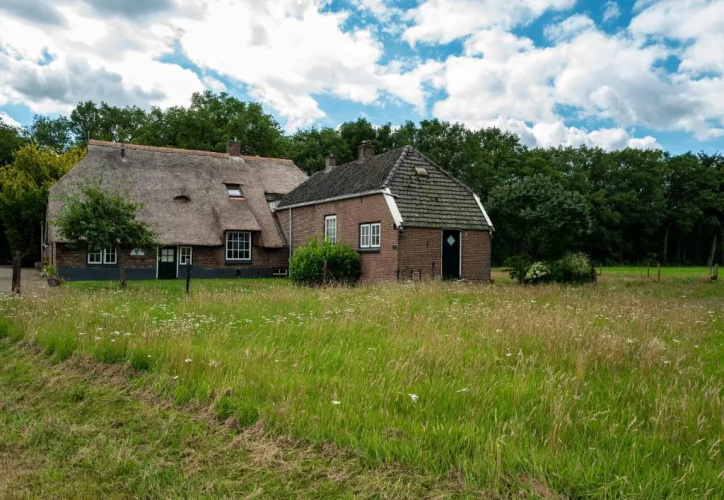 Tranquility Farm