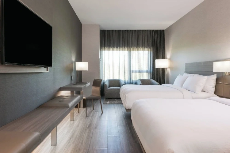 Standard Double room with garden view