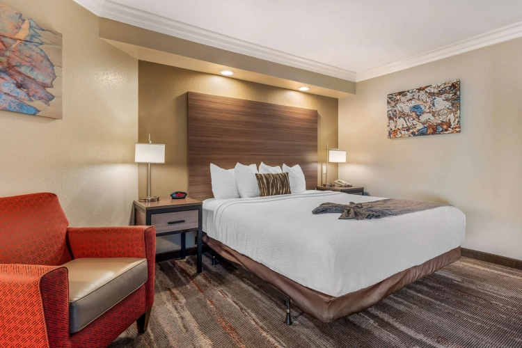 Standard Double room