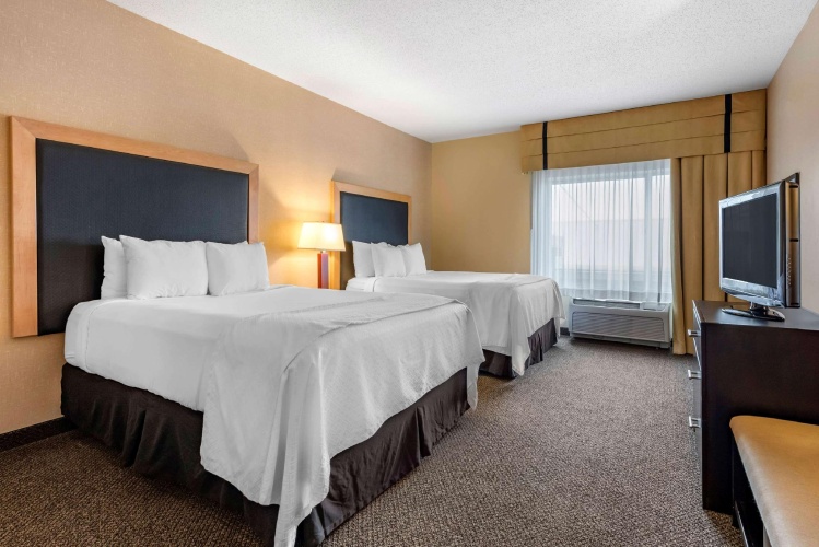 Quadruple Suite