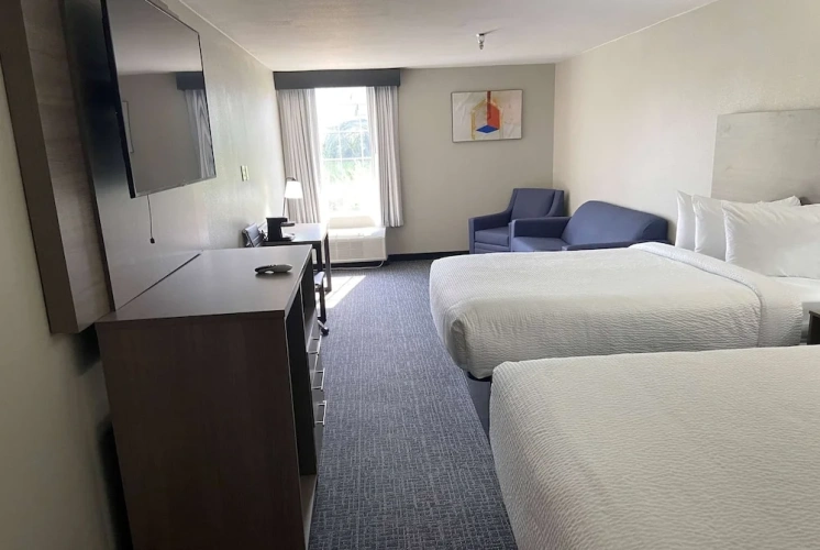 Quadruple Suite