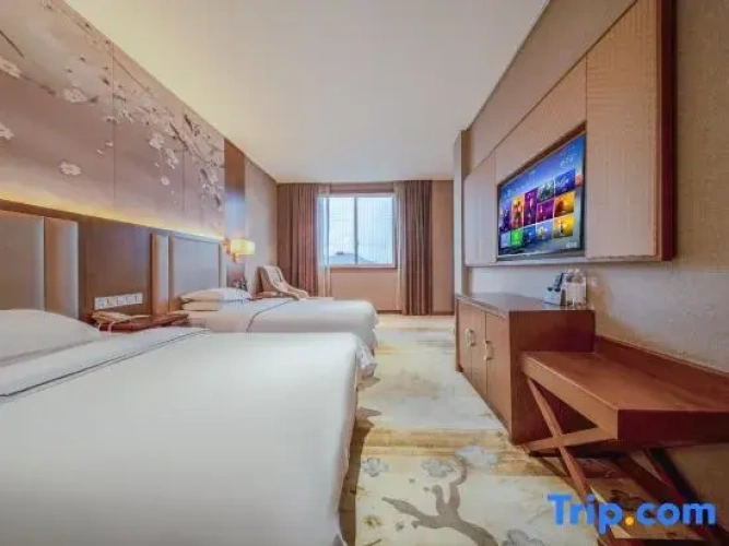 Standard Twin Family room