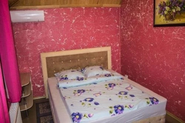 Vityaz
