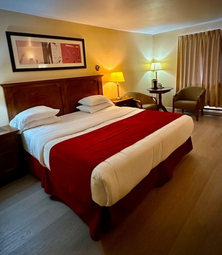Standard Double room with lake view