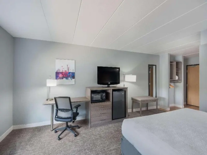 1 Bedroom Double Suite