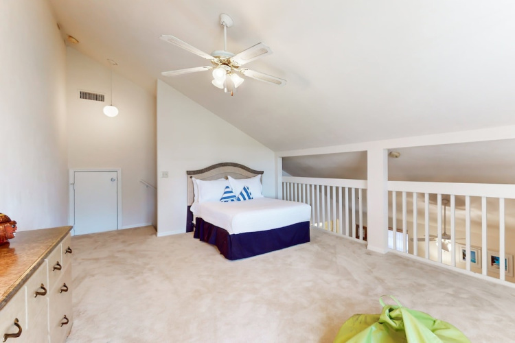 Port Orange Palm Tree Reverie