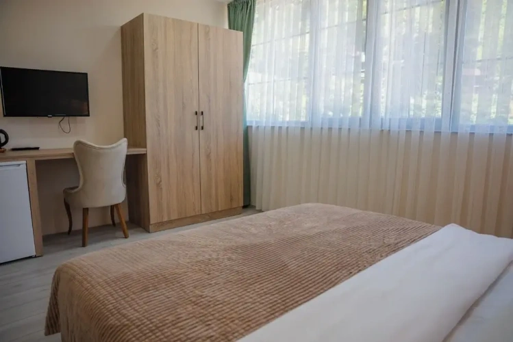 1 Bedroom Standard Family room with mountain view