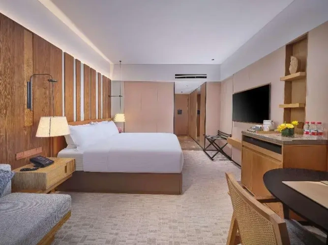 Premium Double room with balcony