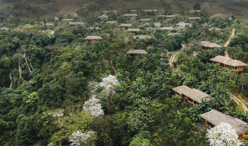 Avana Retreat
