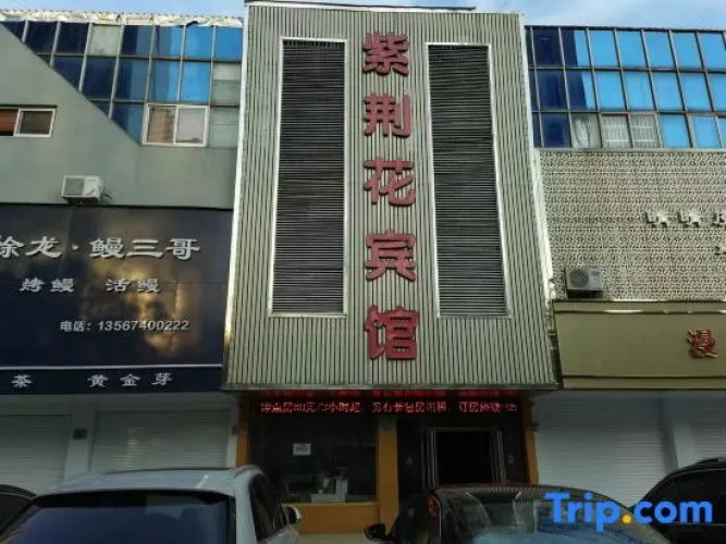 Zijinghua Hotel