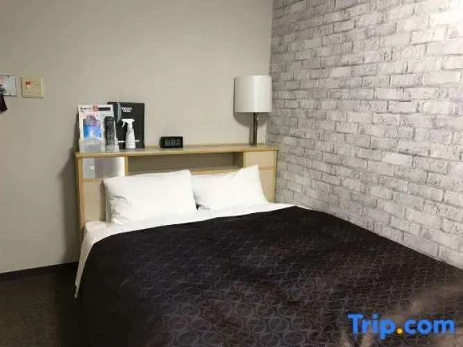Standard Double room with city view