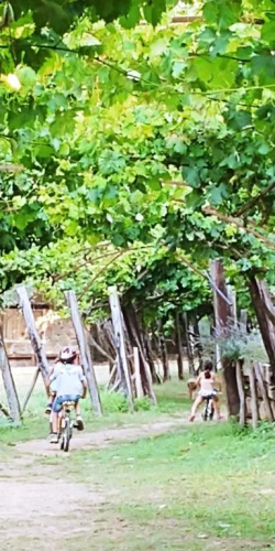 Agricamping Ponteraggio n.1
