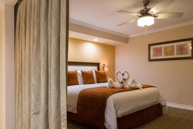 1 Bedroom Suite