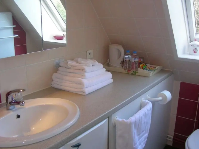 Standard Double room with garden view