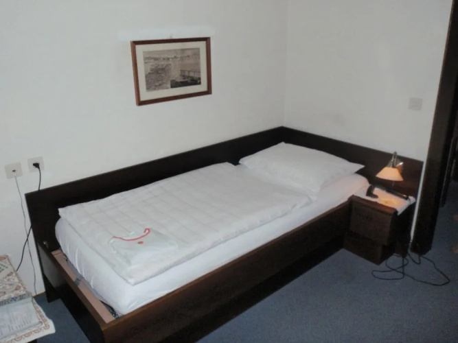 Hotel Moser