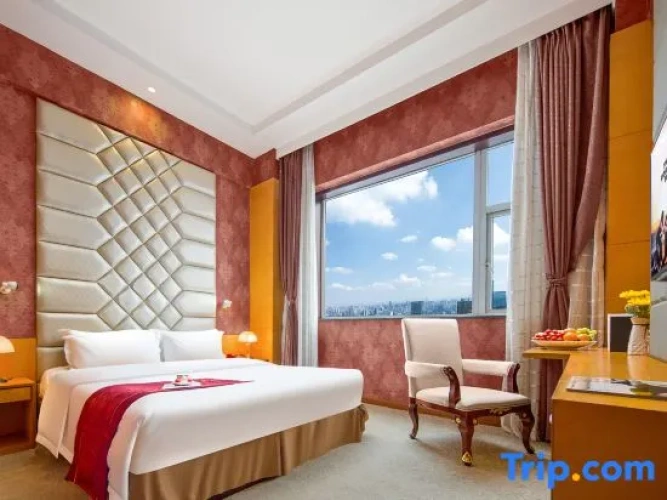 Executive Suite with city view