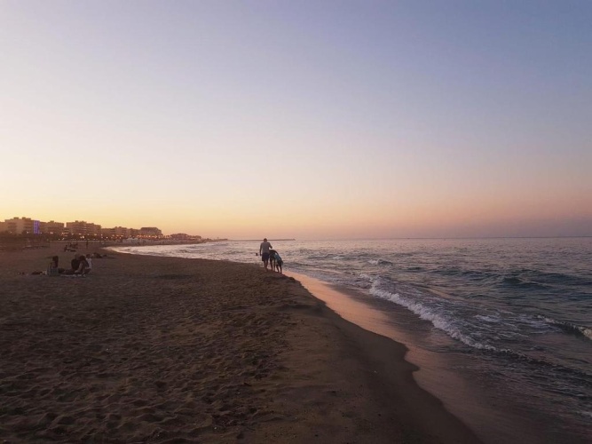 Beach