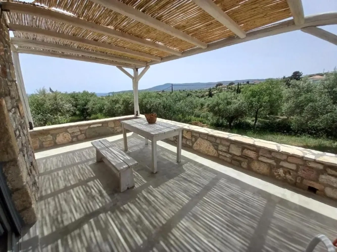 1 Bedroom Villa