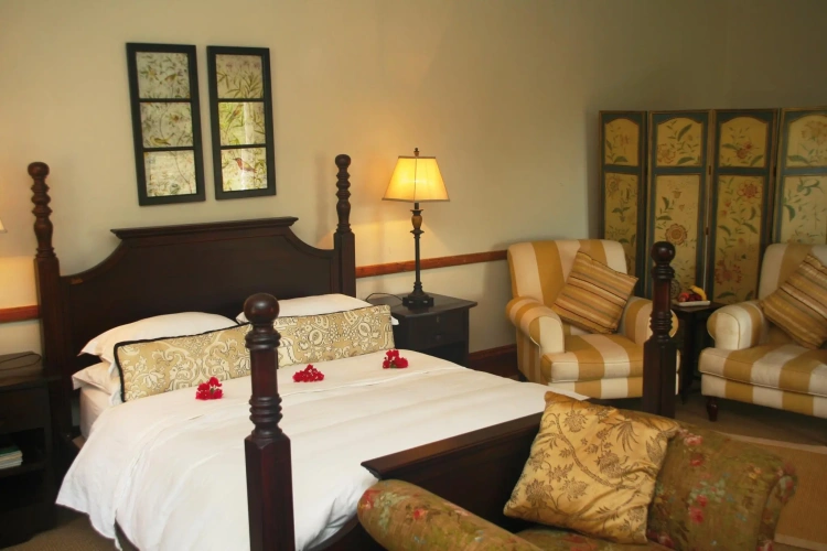 Standard Family room
