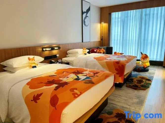 Standard Double room with city view