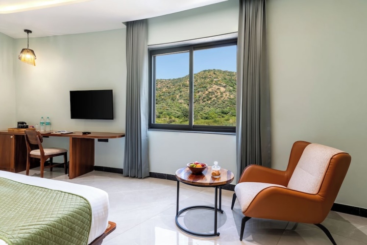Deluxe Double room with mountain view