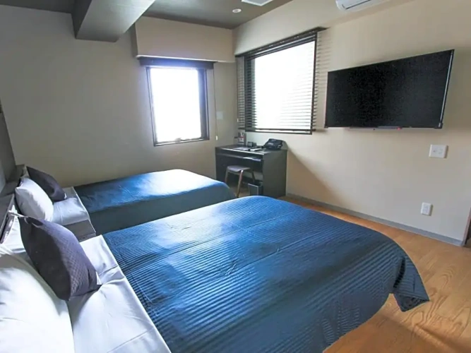 Premium Twin room