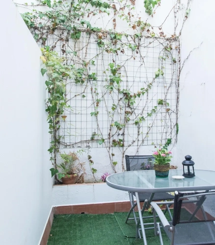1 Bedroom Basement Apartment