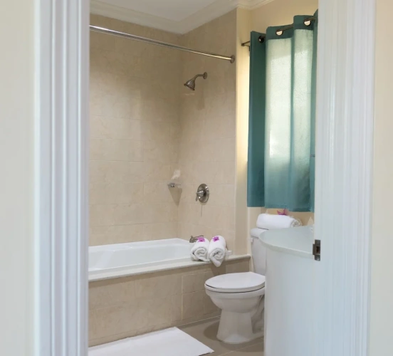 1 Bedroom Luxury room with ocean view