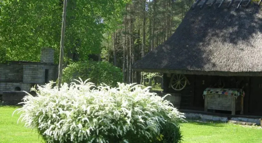 Peetri Holiday Home
