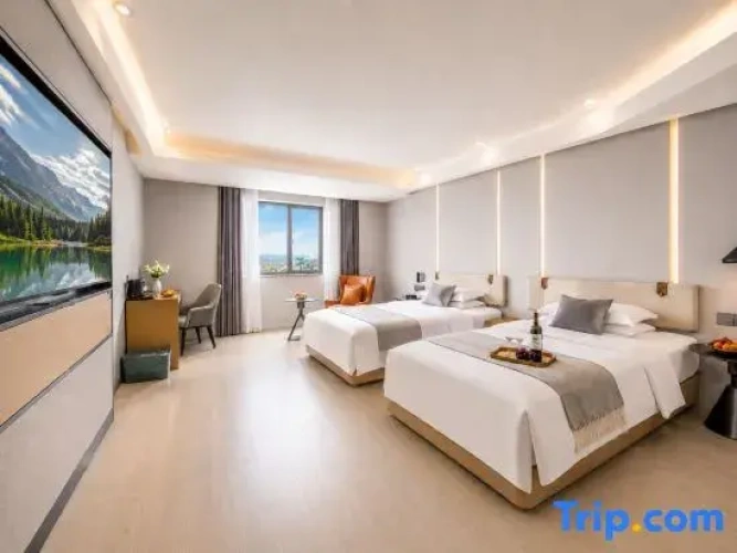 Premier Double Suite
