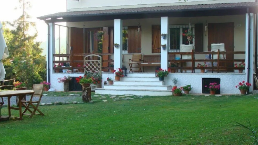 Forest View B&B