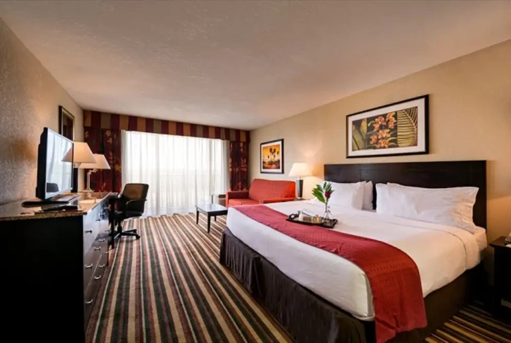 Premium Double room