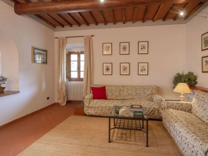 Corbezzolo 30596