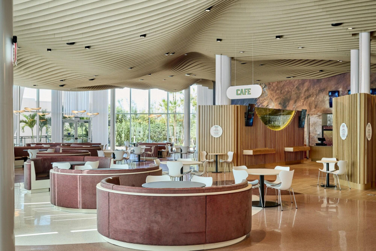 Universal Terra Luna Resort photo 12