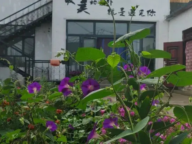 Nalati Lingfeng Homestay