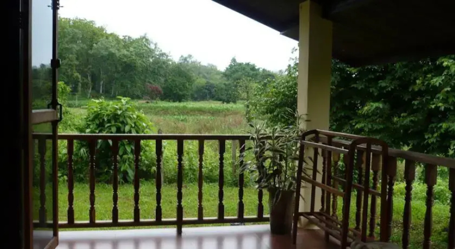 Suancha Tea Garden