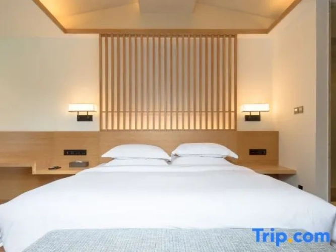 Standard Double room with courtyard view