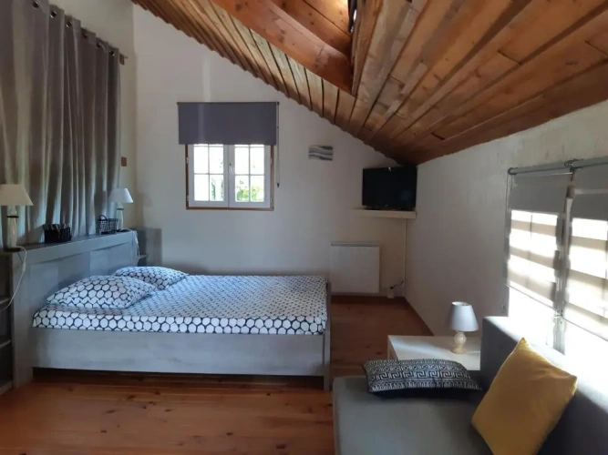 Standard Double room with garden view