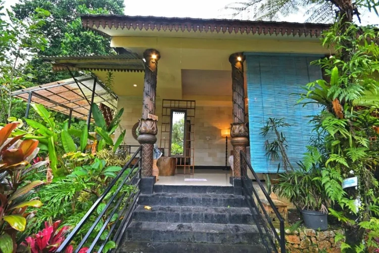 Deluxe Villa with view