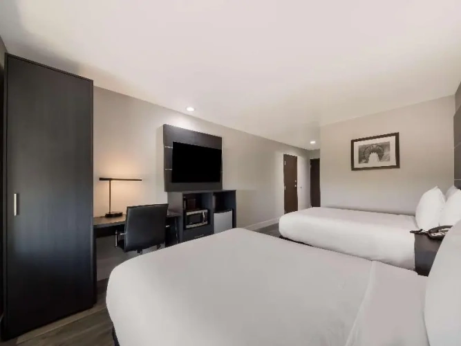Twin room