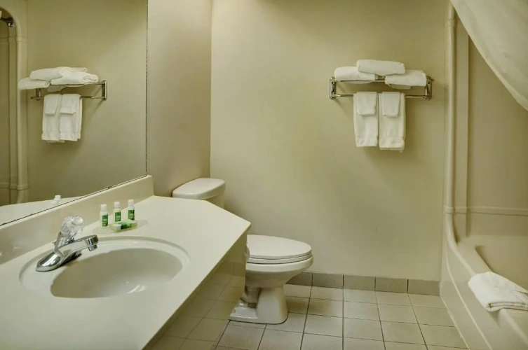 1 Bedroom Suite