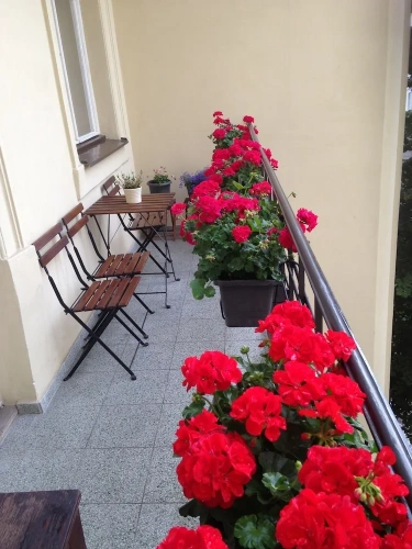 Standard Double room with balcony