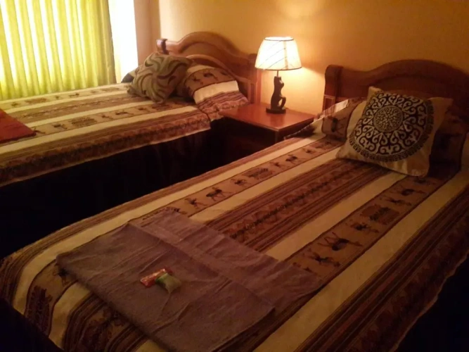 Standard Twin room with view