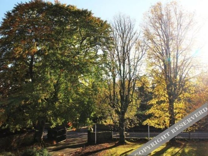 Struan Hall Over view