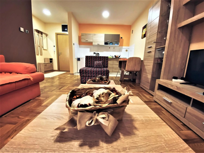 Apartment Vas Raj