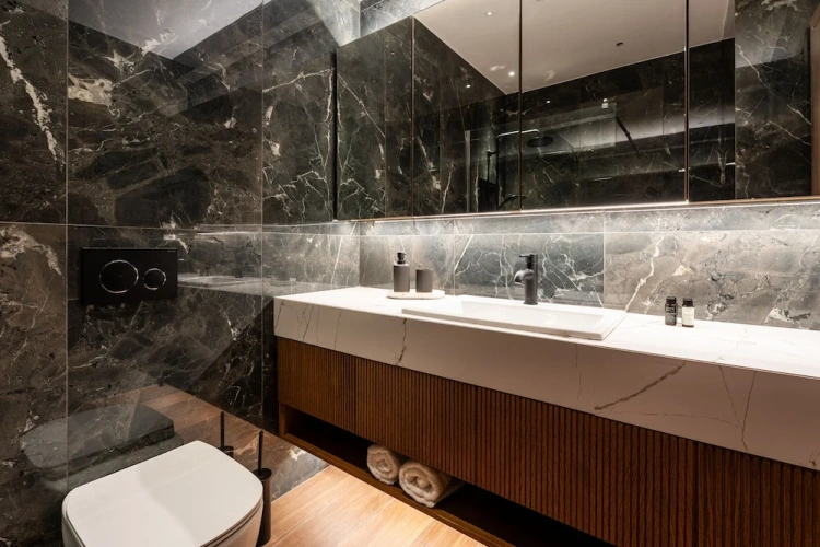 Luxury Apartment