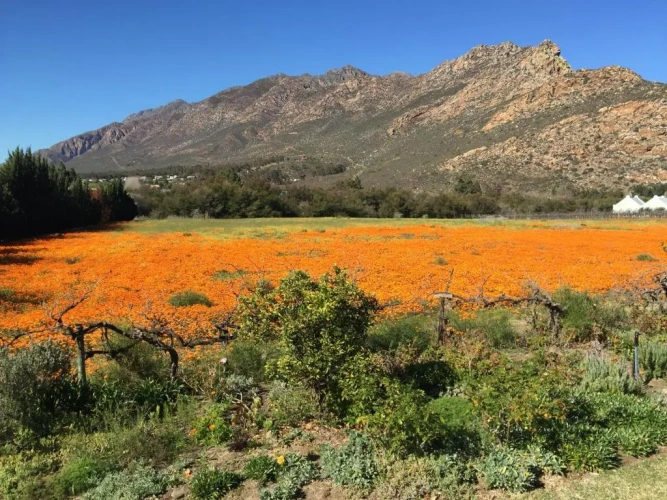3 Bedrooms Cottage
