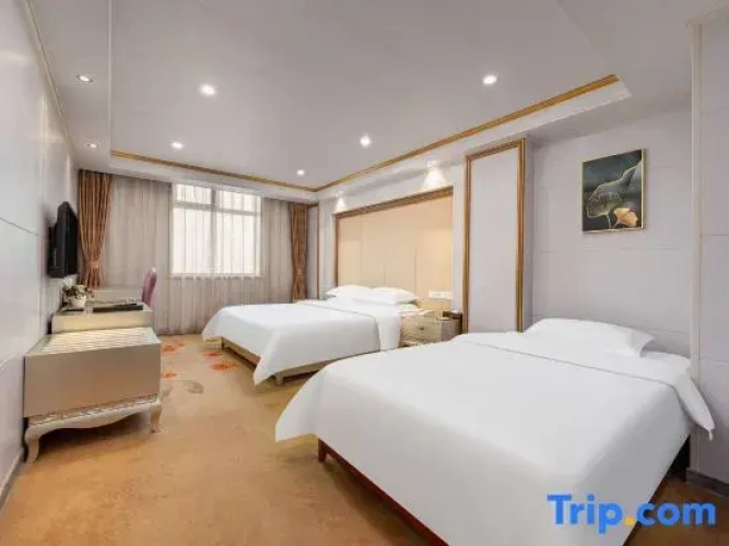 Triple Family Suite