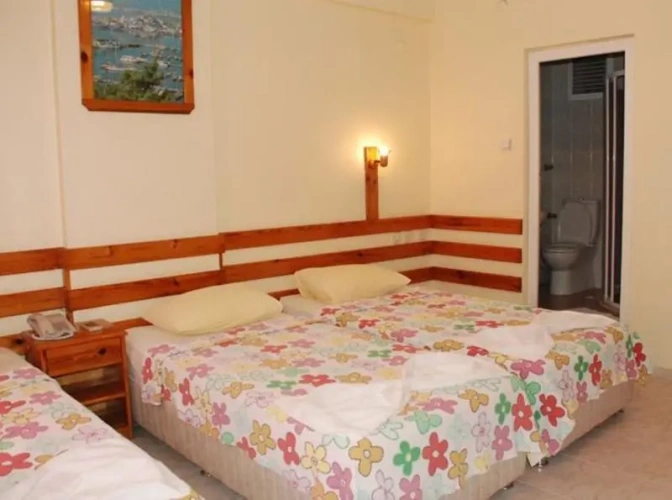 Standard Double room with balcony and with view
